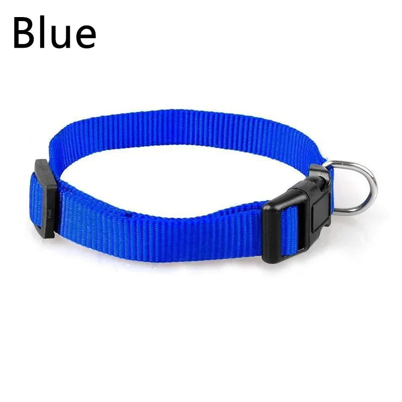 Verstellbares Nylon-Halsband mit Schnellverschluss
