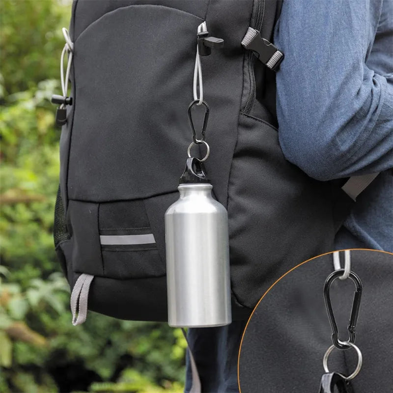 Mini Carabiner Keychain Alluminum