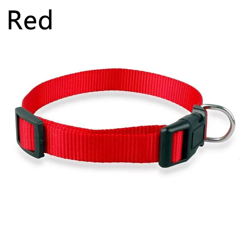 Verstellbares Nylon-Halsband mit Schnellverschluss