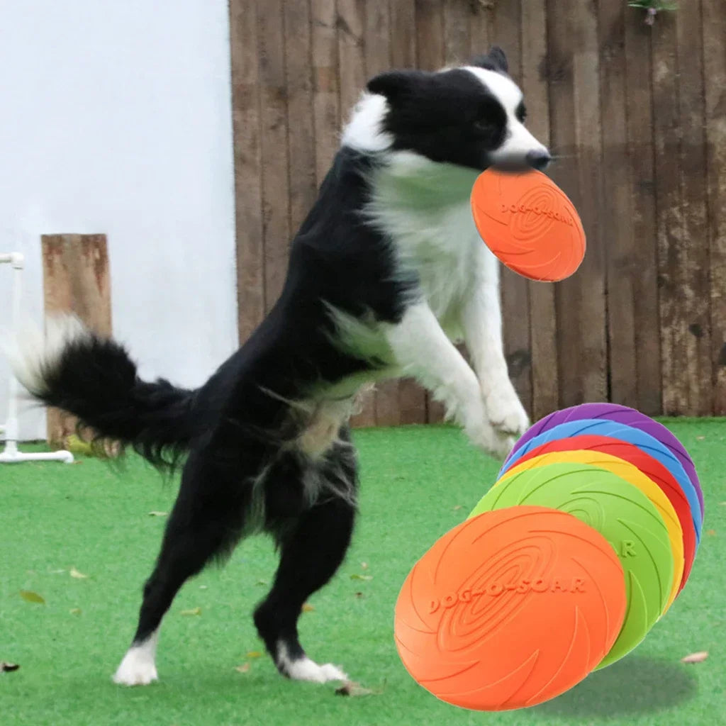 Silikon-Flugscheibe für Hunde & Katzen – Kauspielzeug & Apportierspaß