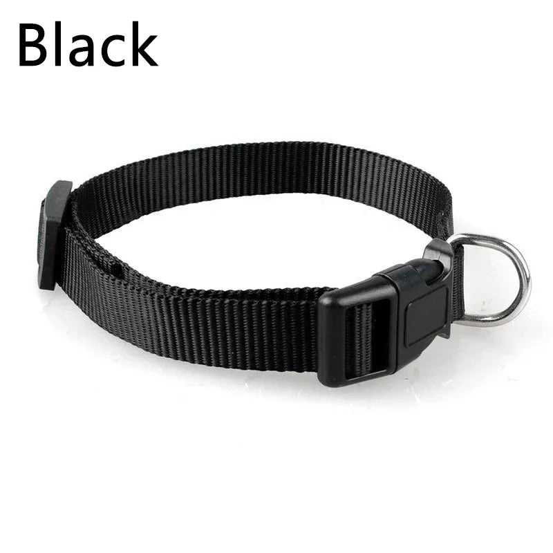 Verstellbares Nylon-Halsband mit Schnellverschluss