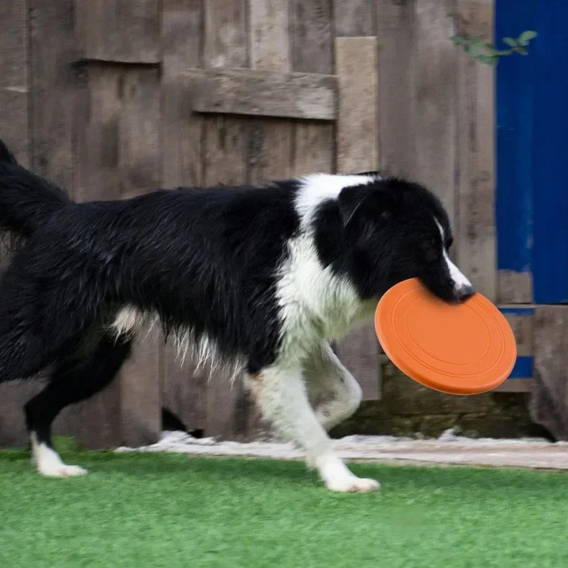 Silikon-Flugscheibe für Hunde & Katzen – Kauspielzeug & Apportierspaß